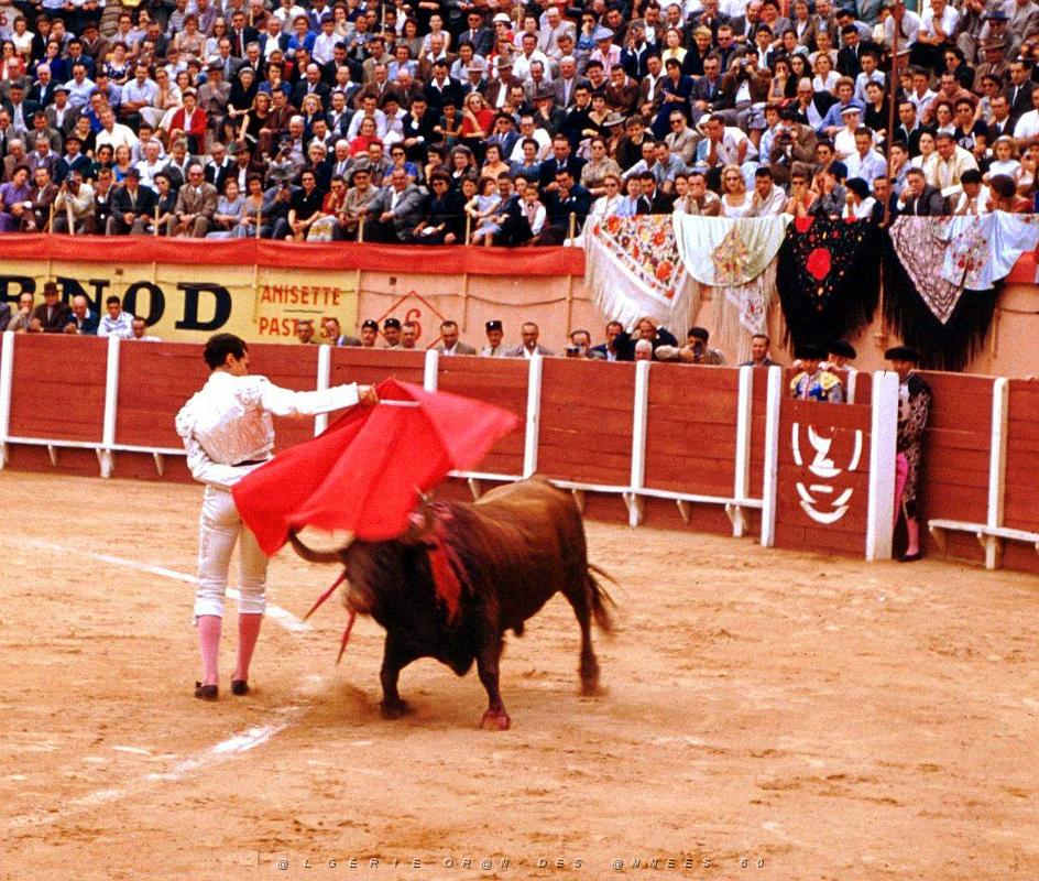 Oran- Arenes d' Eckmulh 35.jpg